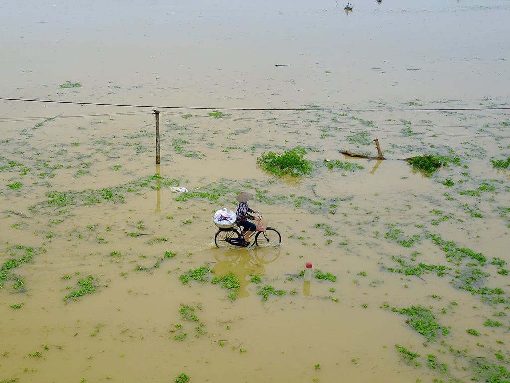A woman rides through a flooded area in Hoang Van Thu commune, Vietnam.  Heavy rain over the past few days caused floods in many residential areas in the district. More than 200 houses have been flooded, and  at least 54 people have died.