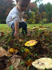 A young forager discovers fungus among us.