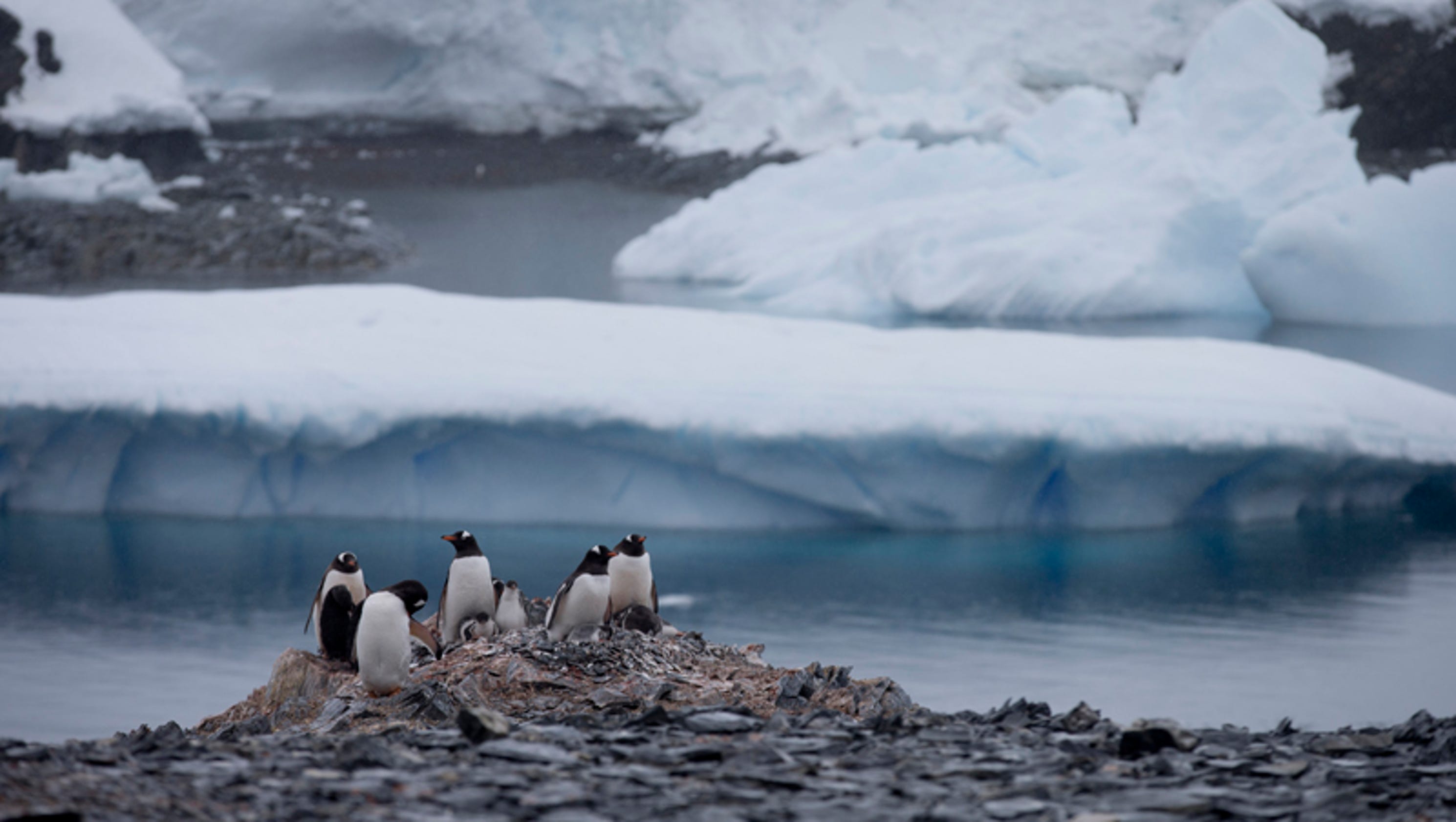Antarctica ice melts a race against time