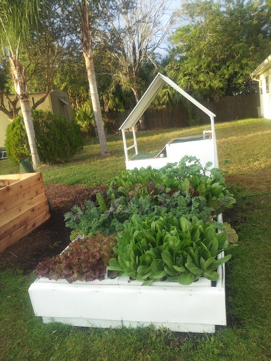 Aquaponic growing systems available for Brevard homes