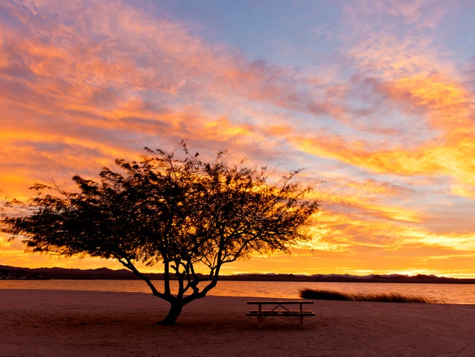 Arizona's best beaches no, really