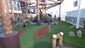 Located underneath part of the ropes course on Norwegian Getaway is a nine-hole miniature golf course.