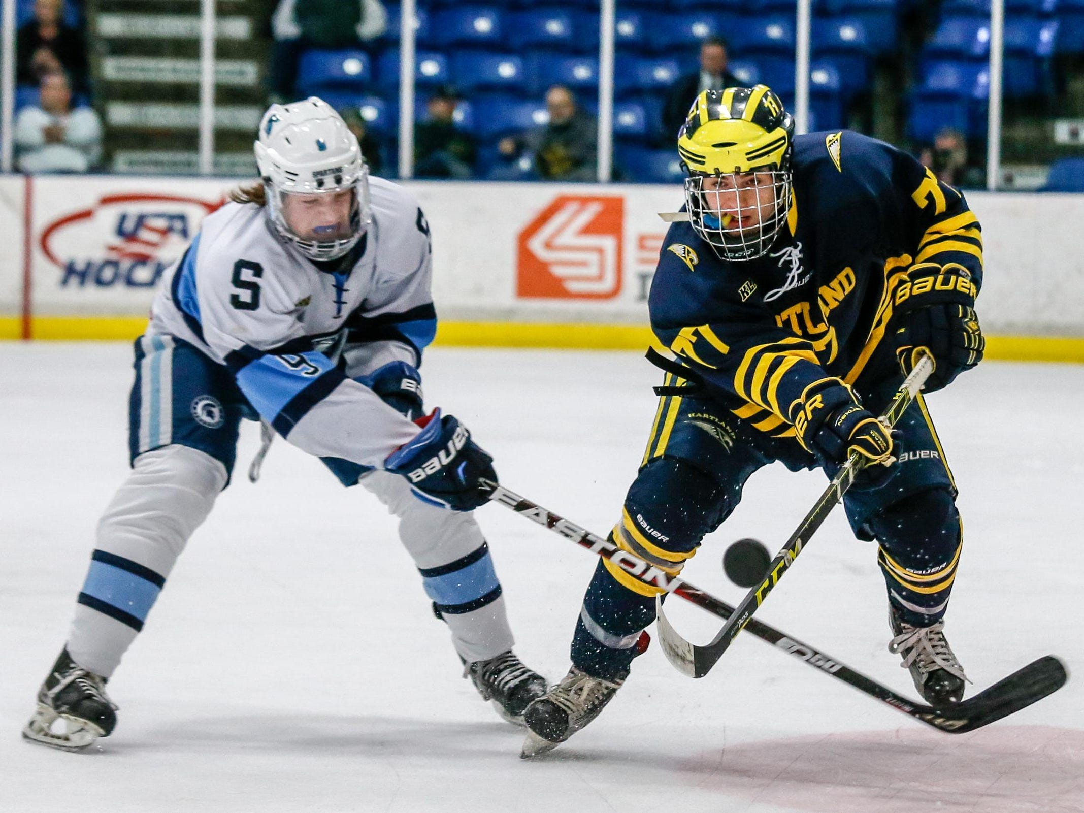 Hartland's Jake DeYoung, right, fights for the puck against Livonia Stevenson's Alex Walkuski Thursday at USA Hockey Arena.