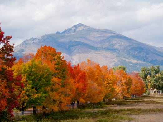 Urban Autumn Beautiful Fall Foliage In Cities Around The Usa