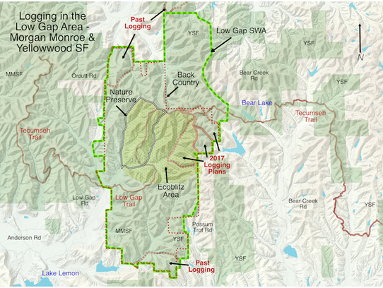 Hoosiers Ask Holcomb To Stop The Logging Of Yellowwood Hoosiers Ask Holcomb To Stop The Logging Of Yellowwood