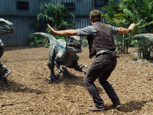 Owen (Chris Pratt) trains dinosaurs in "Jurassic World."