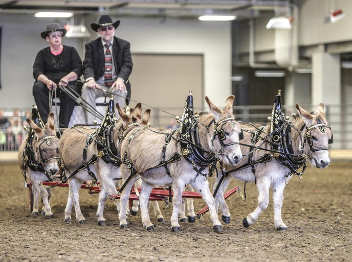 1396742092000-Horseexpo-01.JPG