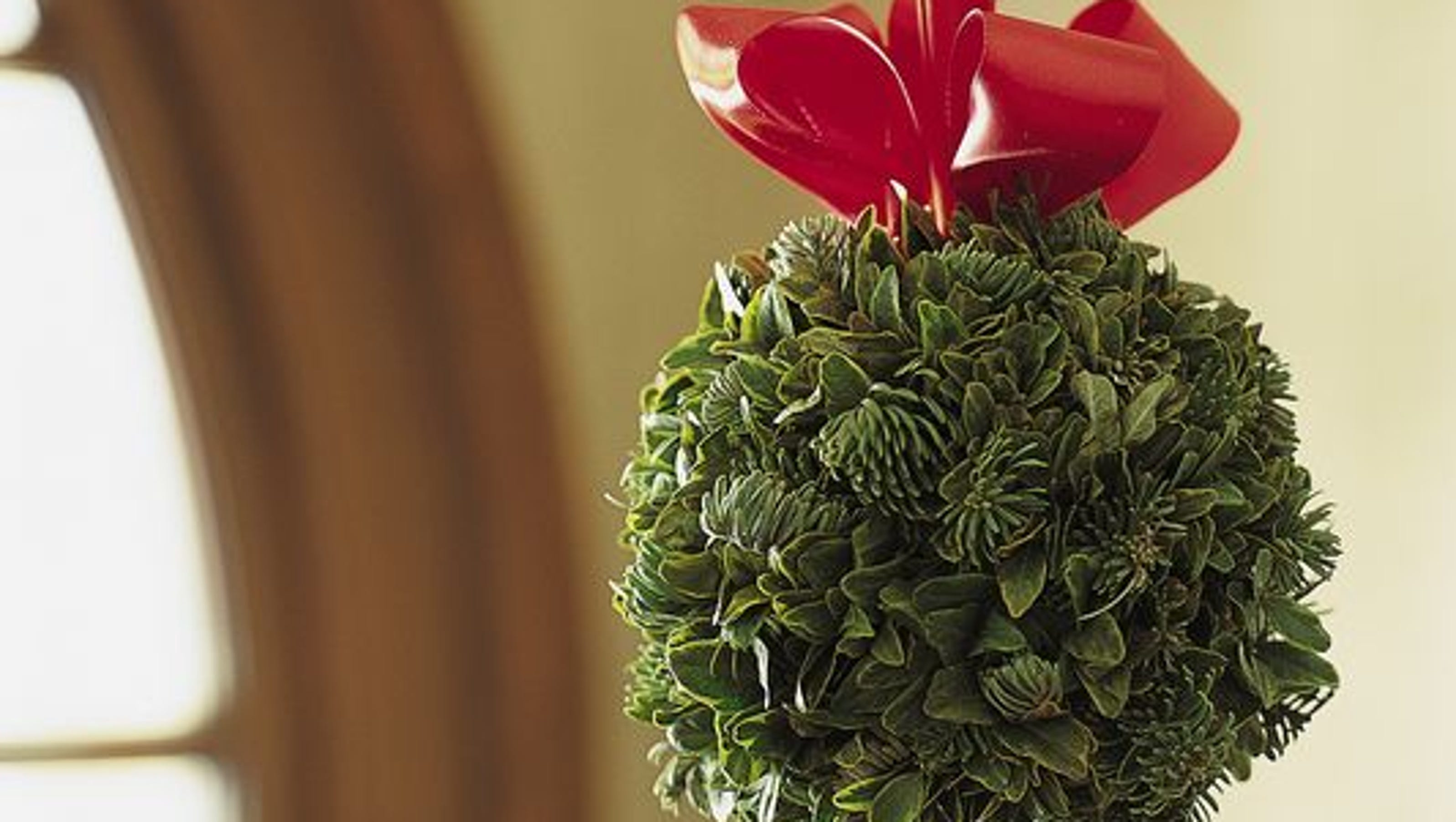 Christmas traditions explained Mistletoe
