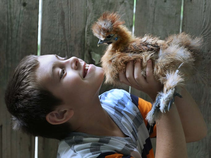 Statist maggots making life miserable: Mom fights to keep autistic son's chickens 1406933709007-inidc5-6gf1t8407oyghskuh7h-original