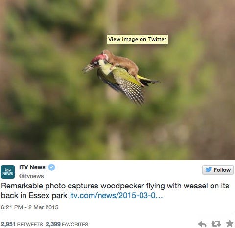 DOJ: Ferguson PD engaged in racially biased policing