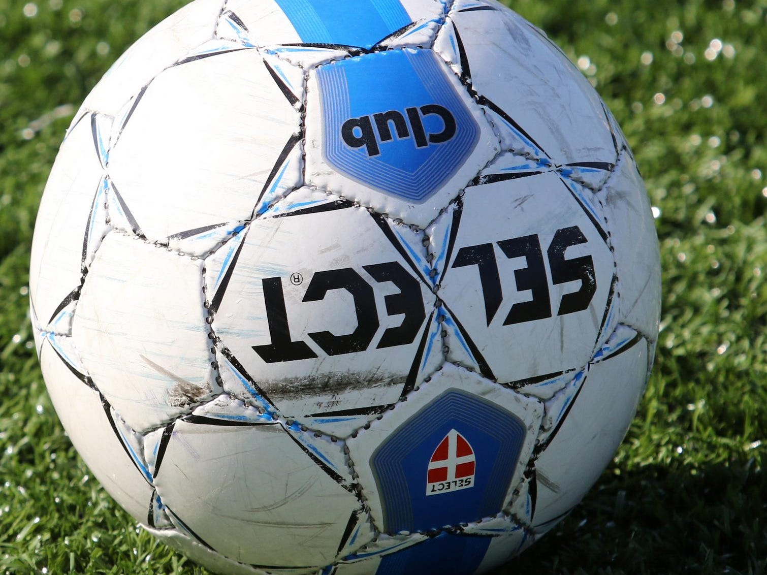 Soccer ball.
