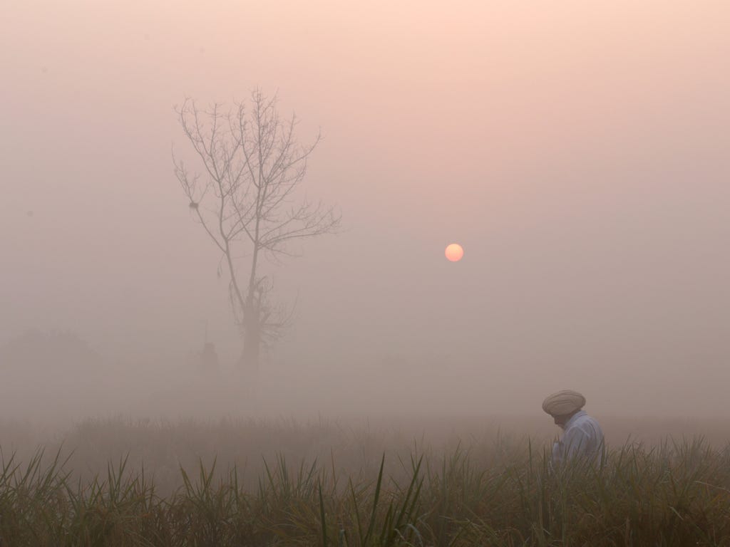 An Indian villager walks on a farm on a foggy morning as the sun rises on the outskirts of Amritsar, India.