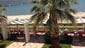 Palm trees share the beachfront at Vlora.