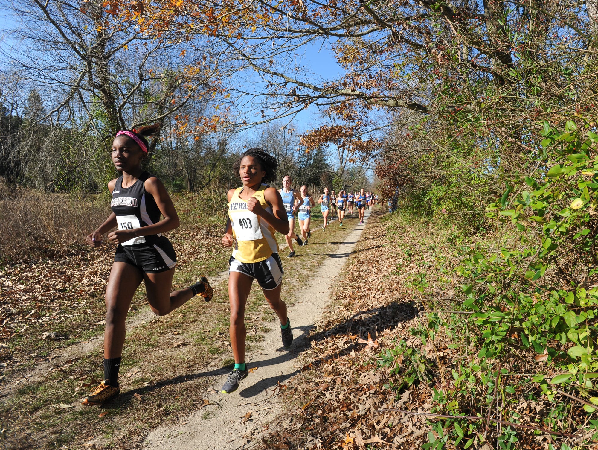 Concord's Ariona Thornton, left and Newark's Xia Howard race side by side in the Division I DIAA Cross Country State Championships at Killens Pond State Park in Felton.