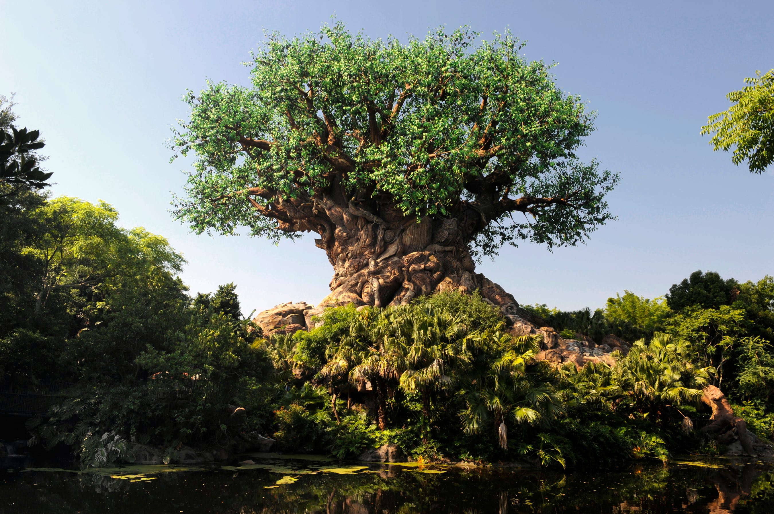Wild animal kingdom park