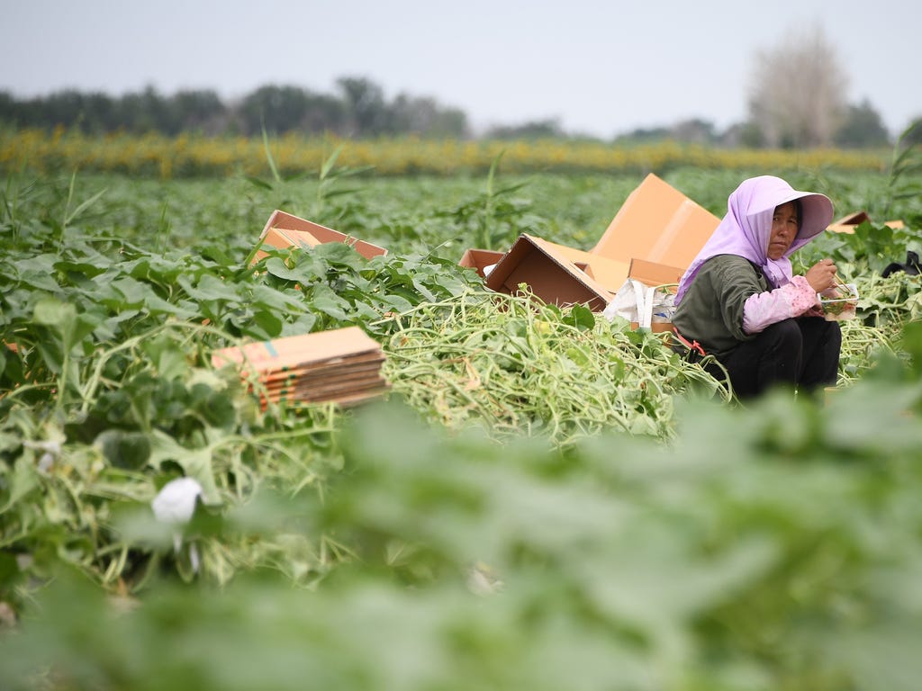 A woman takes a break as she works in a watermelon field during Stage 8 of the Silk Way Rally 2017 between Karamay and Urumqi, China.