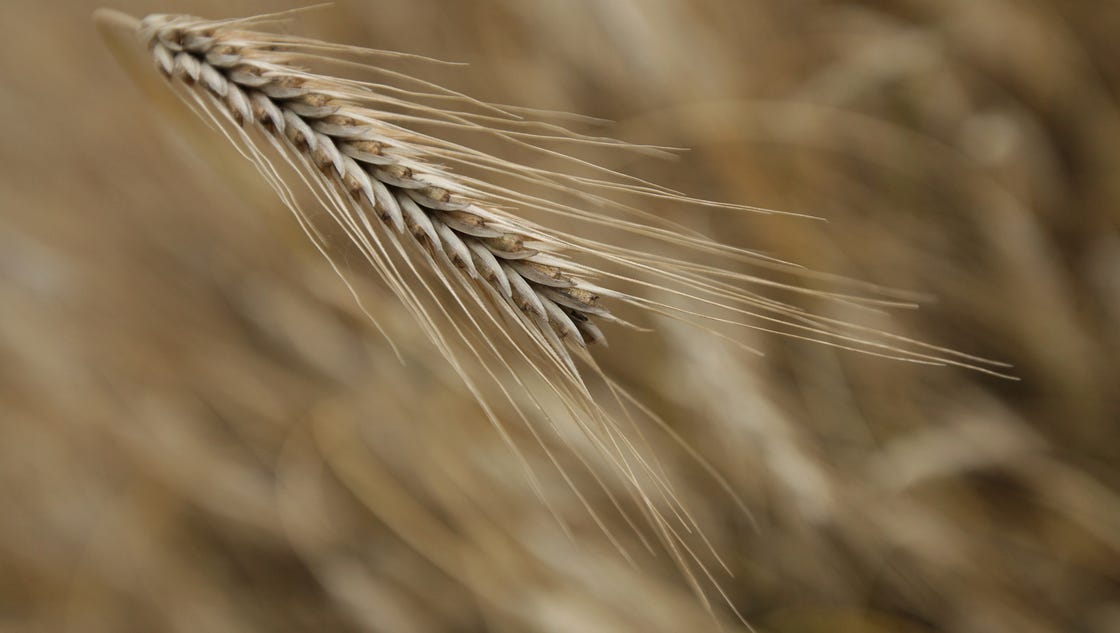 7 top rated rye beers