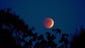 Blood moon: The lunar eclipse turns the moon red over