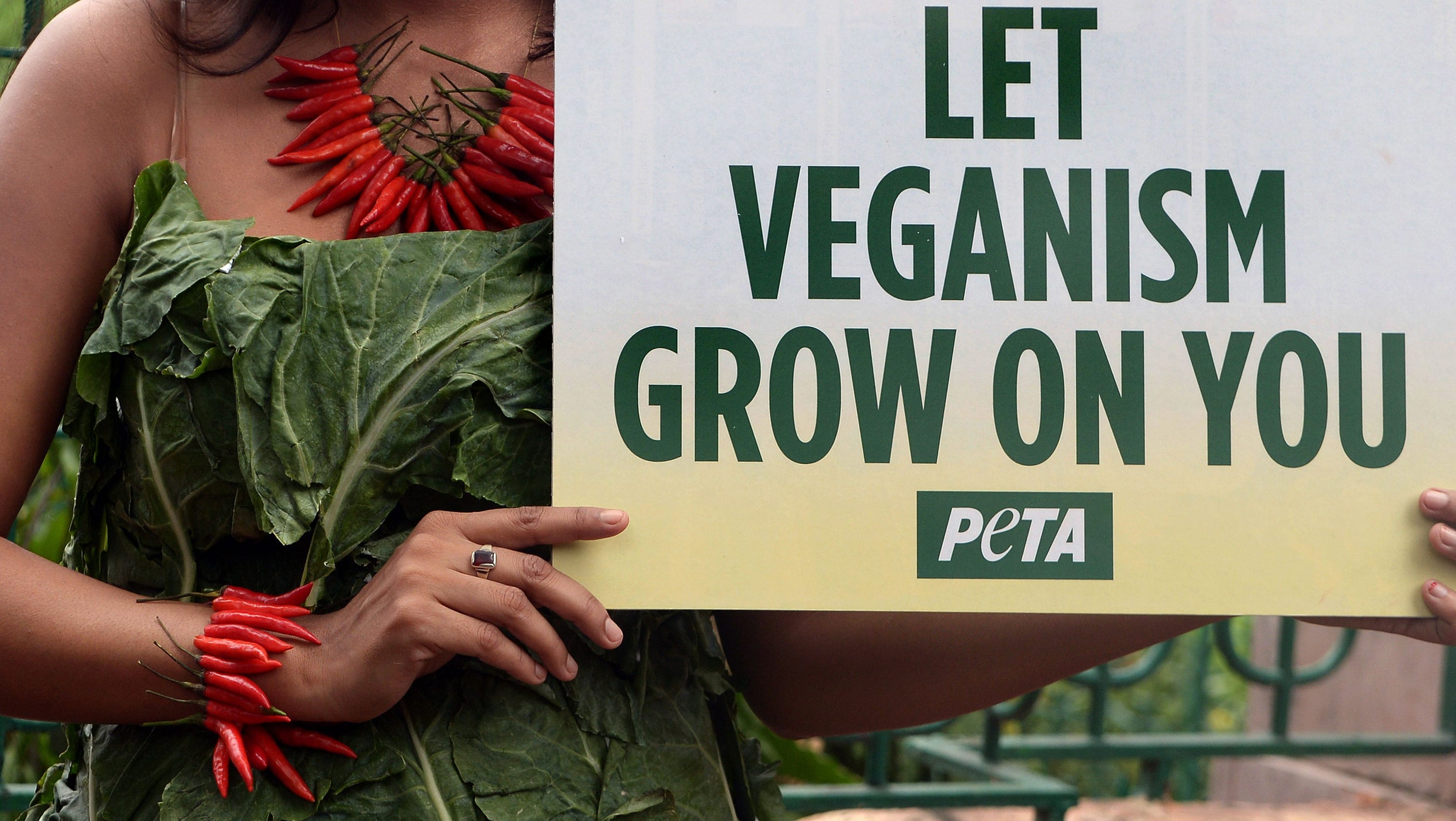 What s The Difference Between A Vegan And A Vegetarian 
