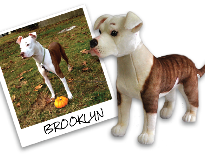 make stuffed animals of your pets