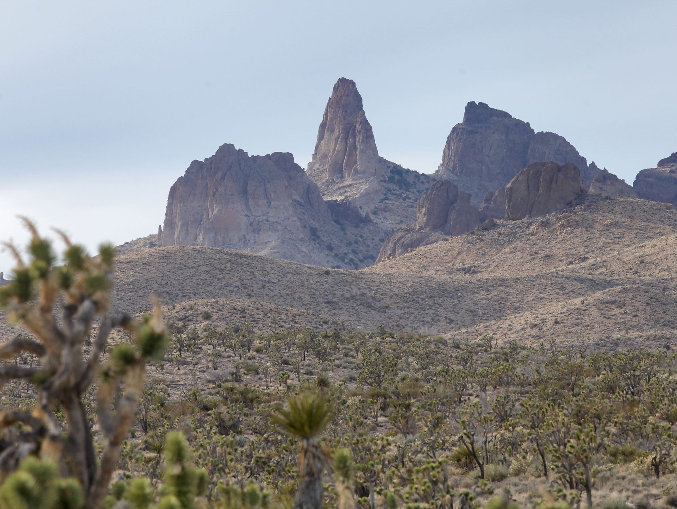 Desert Sun 2 5 16 Obama Eyes Mojave Desert For Monument Ecoflight