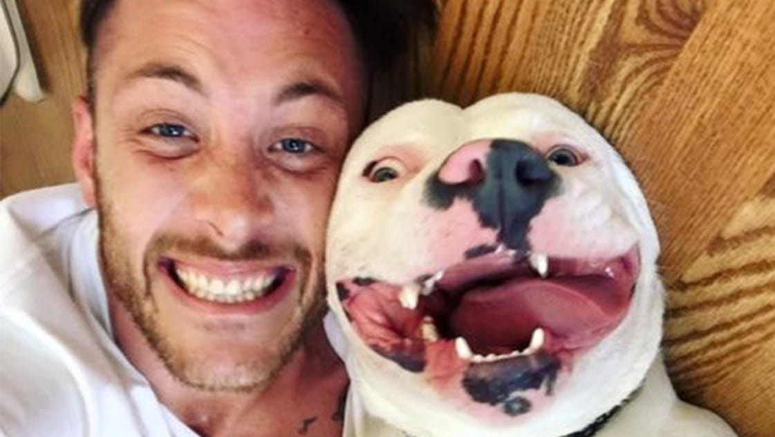 Smiling dog prompts visit from Waterford police - Detroit Free Press