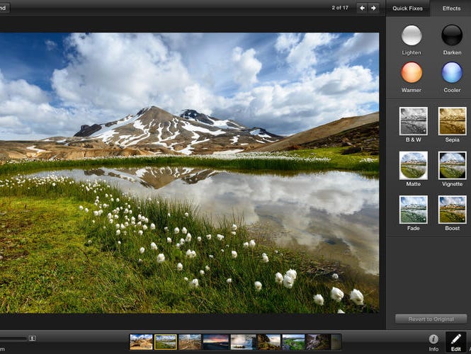 Software like Apple's iPhoto or Picasa from Google can help organize your photos.