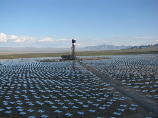 California solar power plants singeing bird feathers