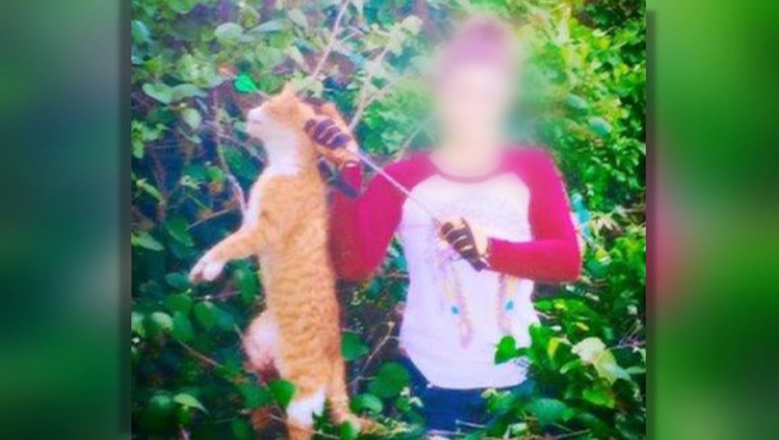 Vet who killed cat with arrow gets license suspended