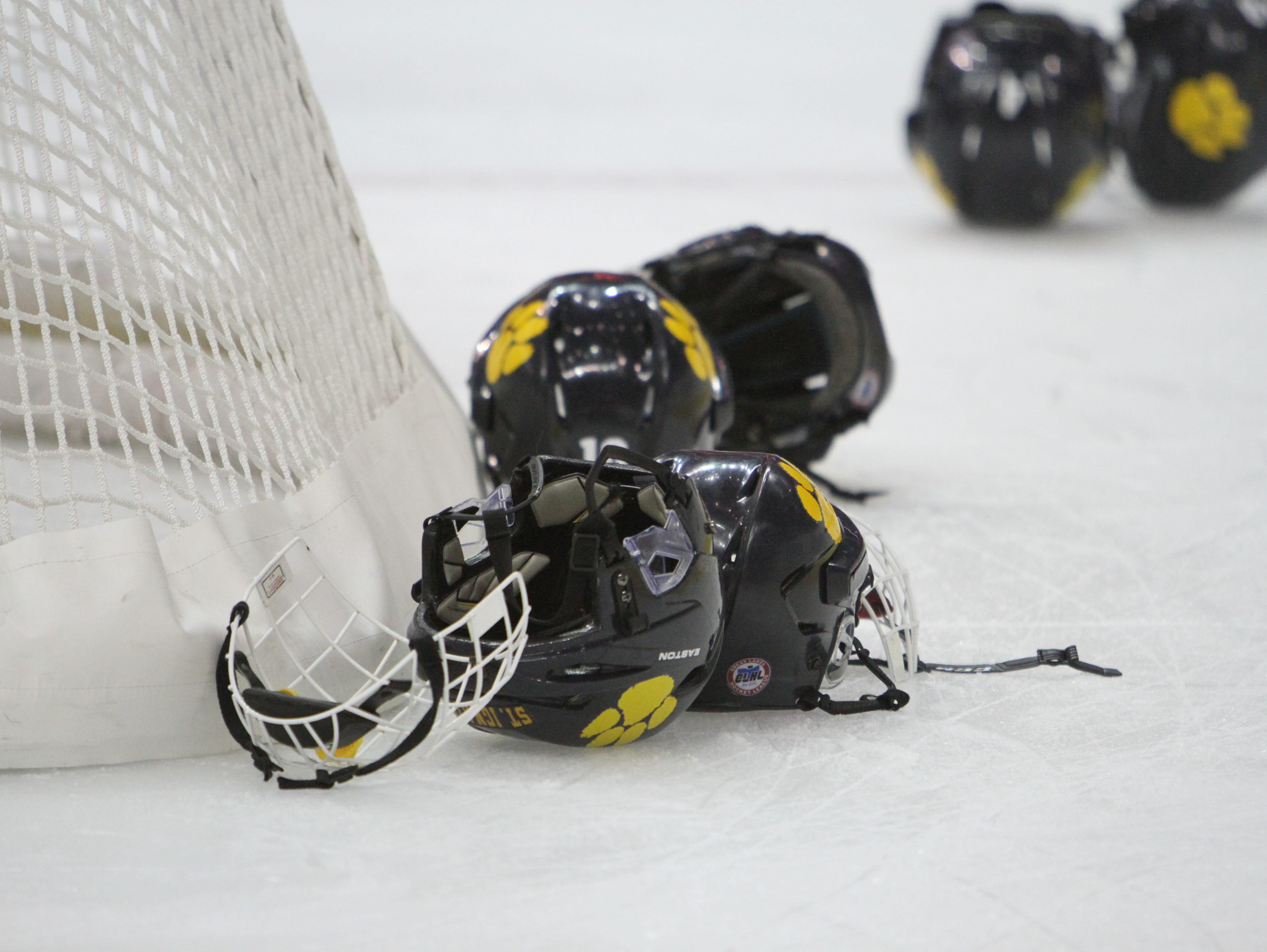 Fourth state poll of HS ice hockey season released USA TODAY High