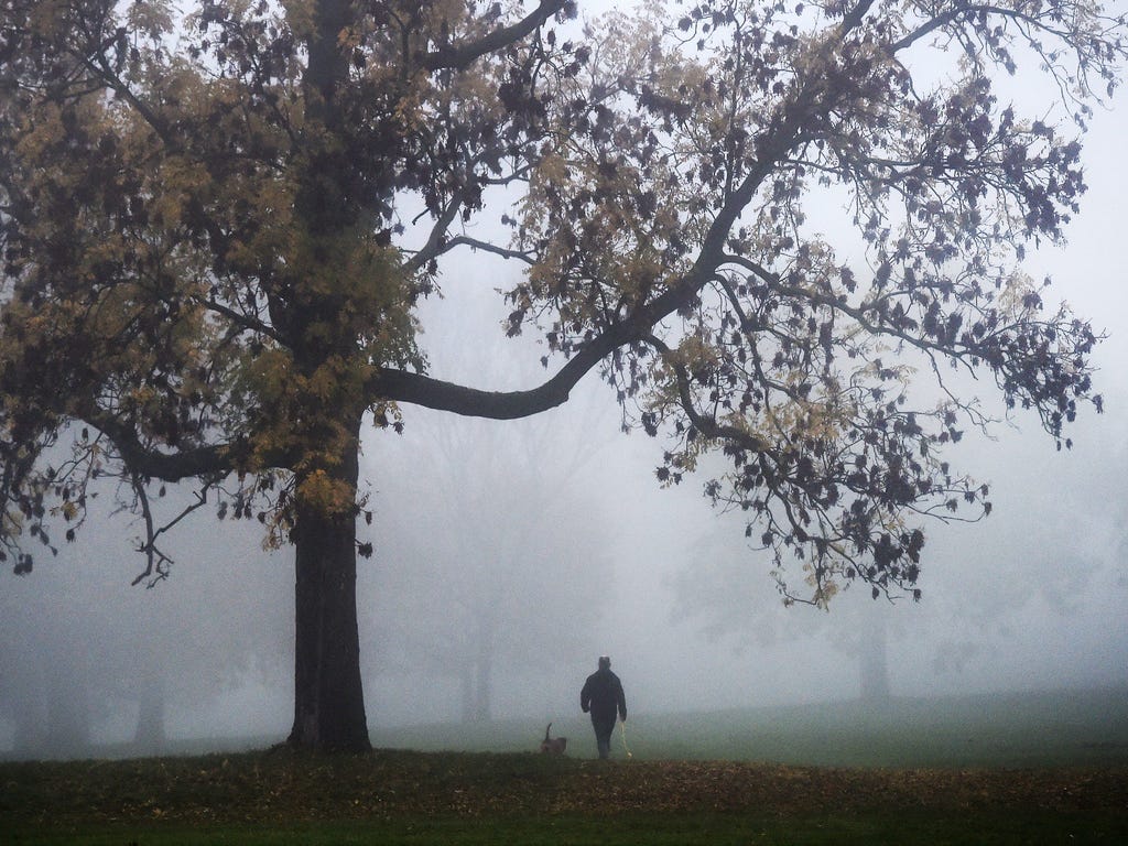 A man walks his dog at a park through heavy morning fog in London as heavy fog is expected to cause travel disruption across Britain for a second day with some cancelations at the major airports.