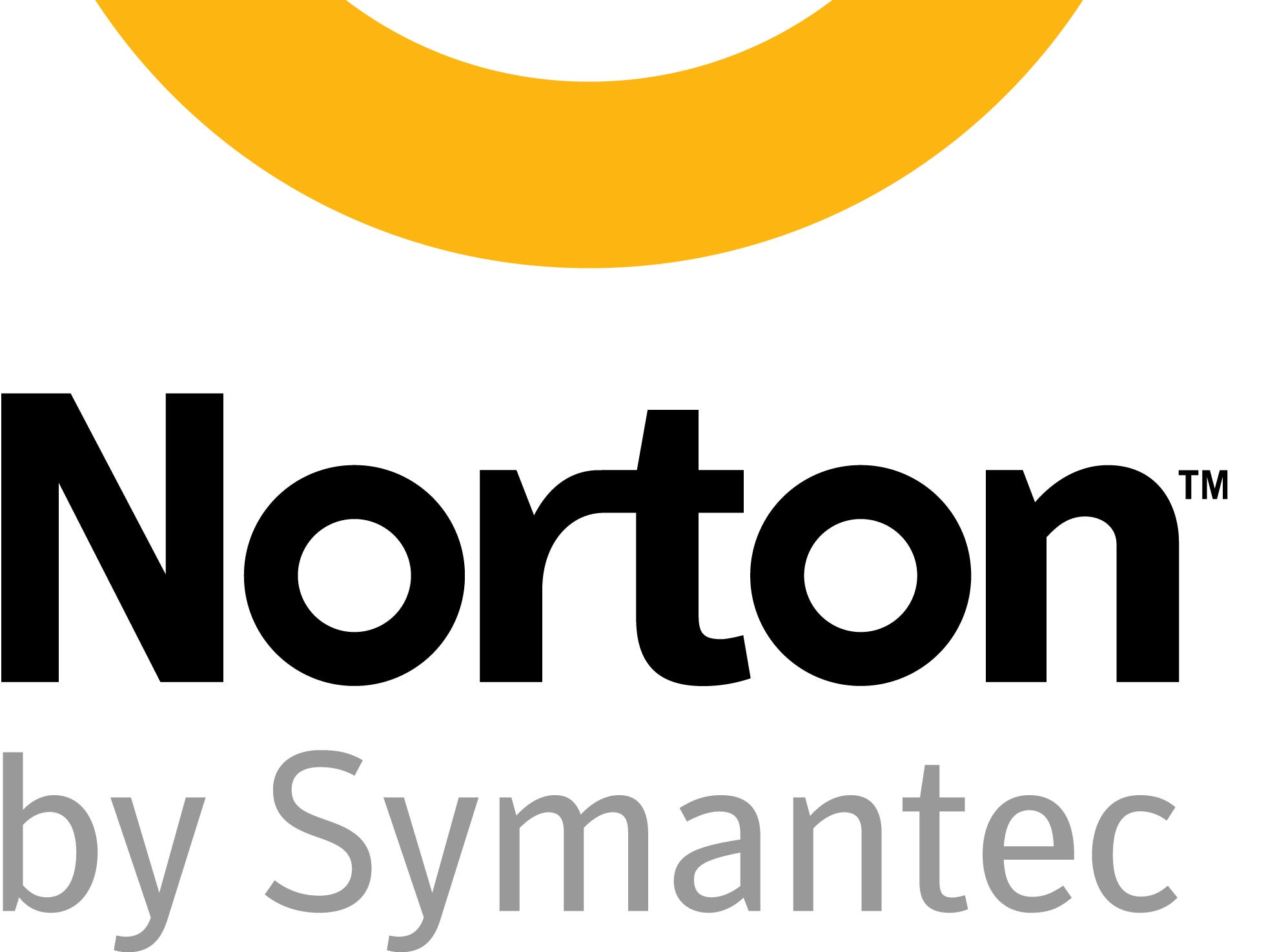 The Norton security check mark