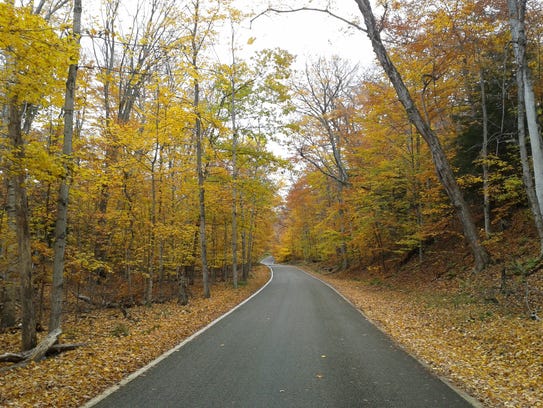 The Tunnel of Trees, located along M-119 in northern