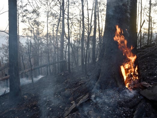 A small fire continues to burn n the woods Tuesday,