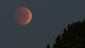 A blood moon rises above the trees in Stuarts Draft,