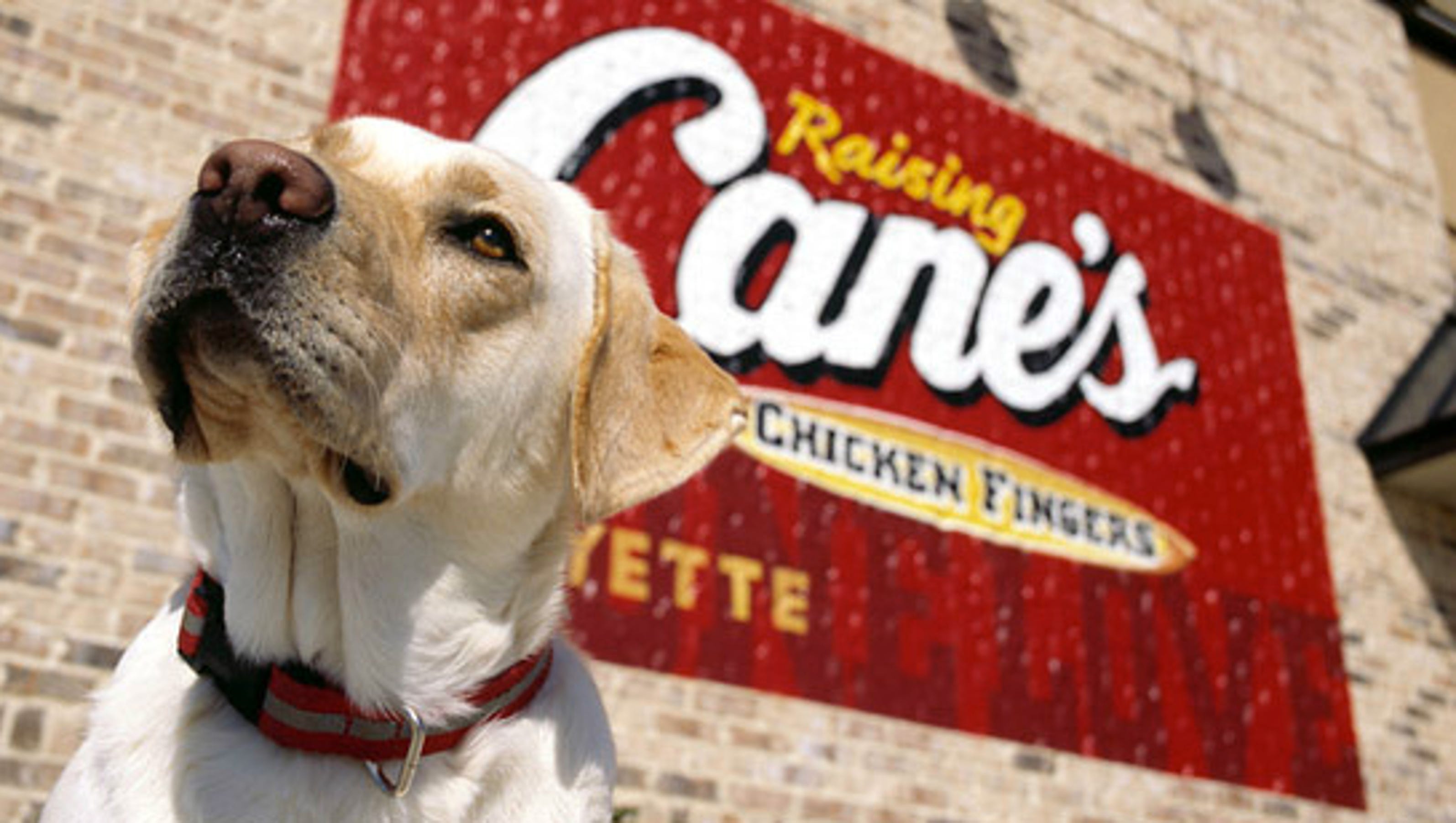 Now hiring Raising Cane's Chicken Fingers in Phoenix