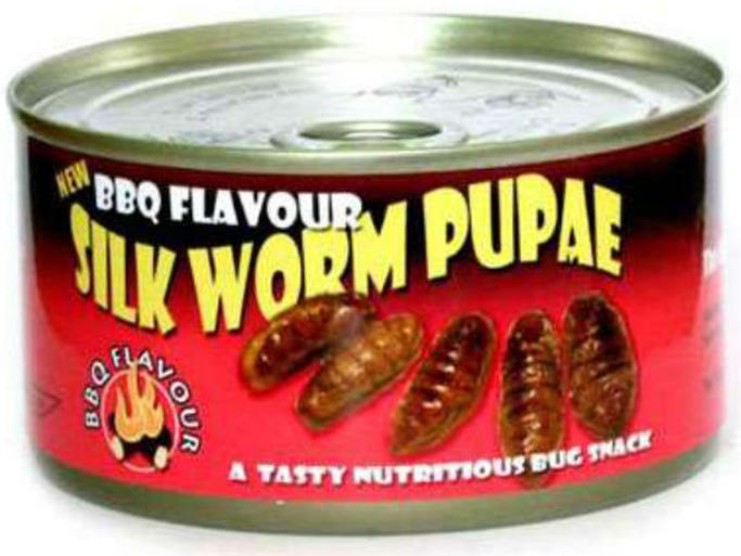 Barbecue silkworm pupae, Korea, Thailand: Fried silkworm pupae are popular across Asia, usually skewered and deep-fried or grilled. They also have very little of their own taste so are usually heavily spiced. The trick is to bite down hard on the outer pupae shell until the gooey insides come squirting out — these canned versions come in a handy barbecue sauce.