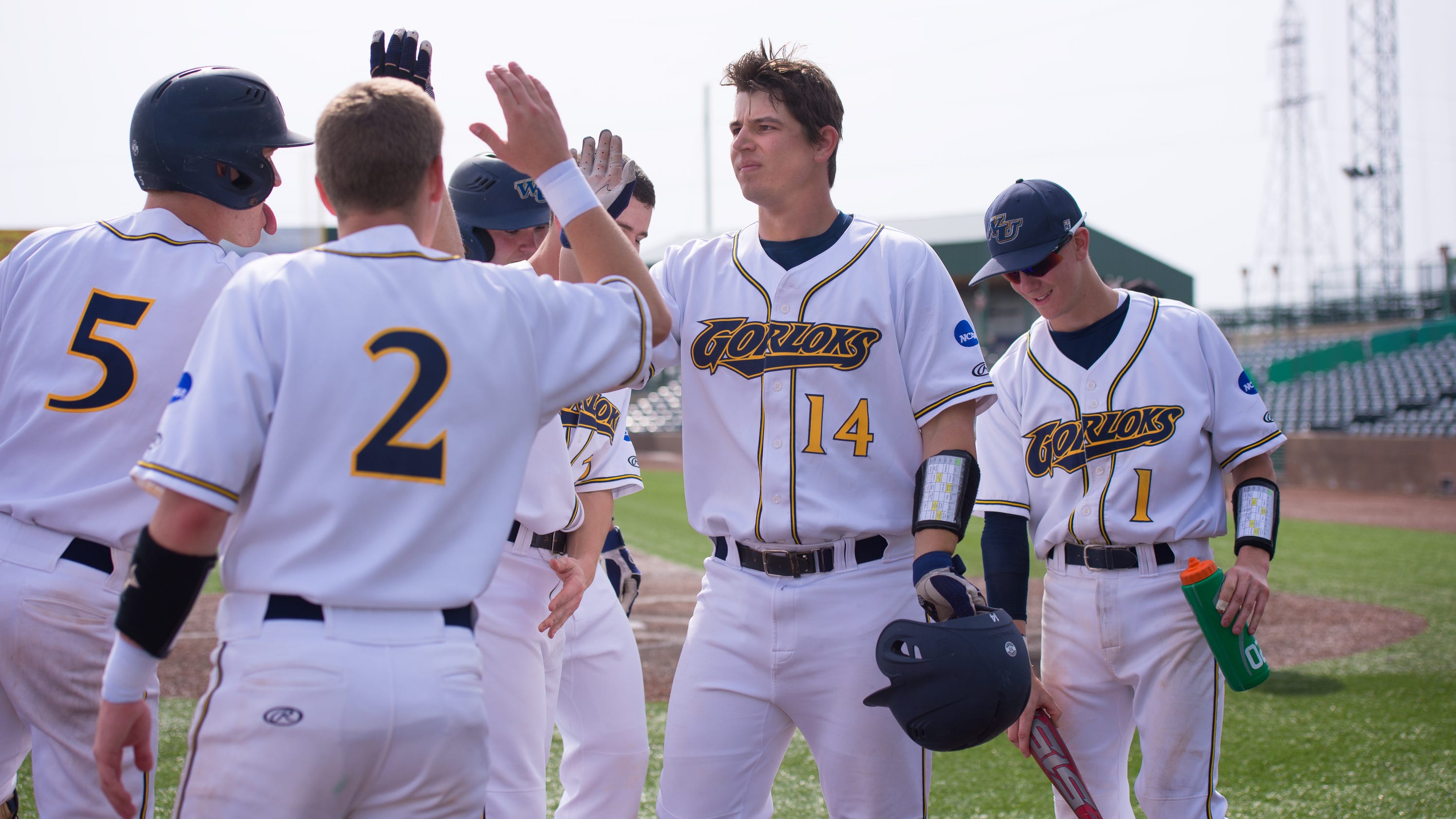 NCAA Division III baseball team previews