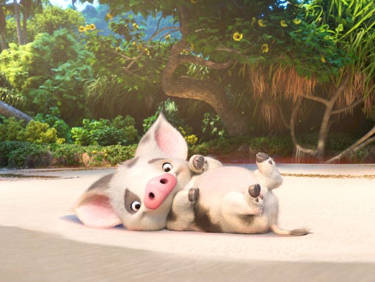 Moana Pig 39Moana39 is full of colorful South Pacific personalities