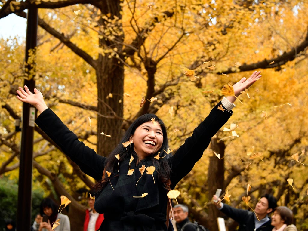 A woman throws gingko leaves as she stands under autumnal colored ginkgo trees in Tokyo.
