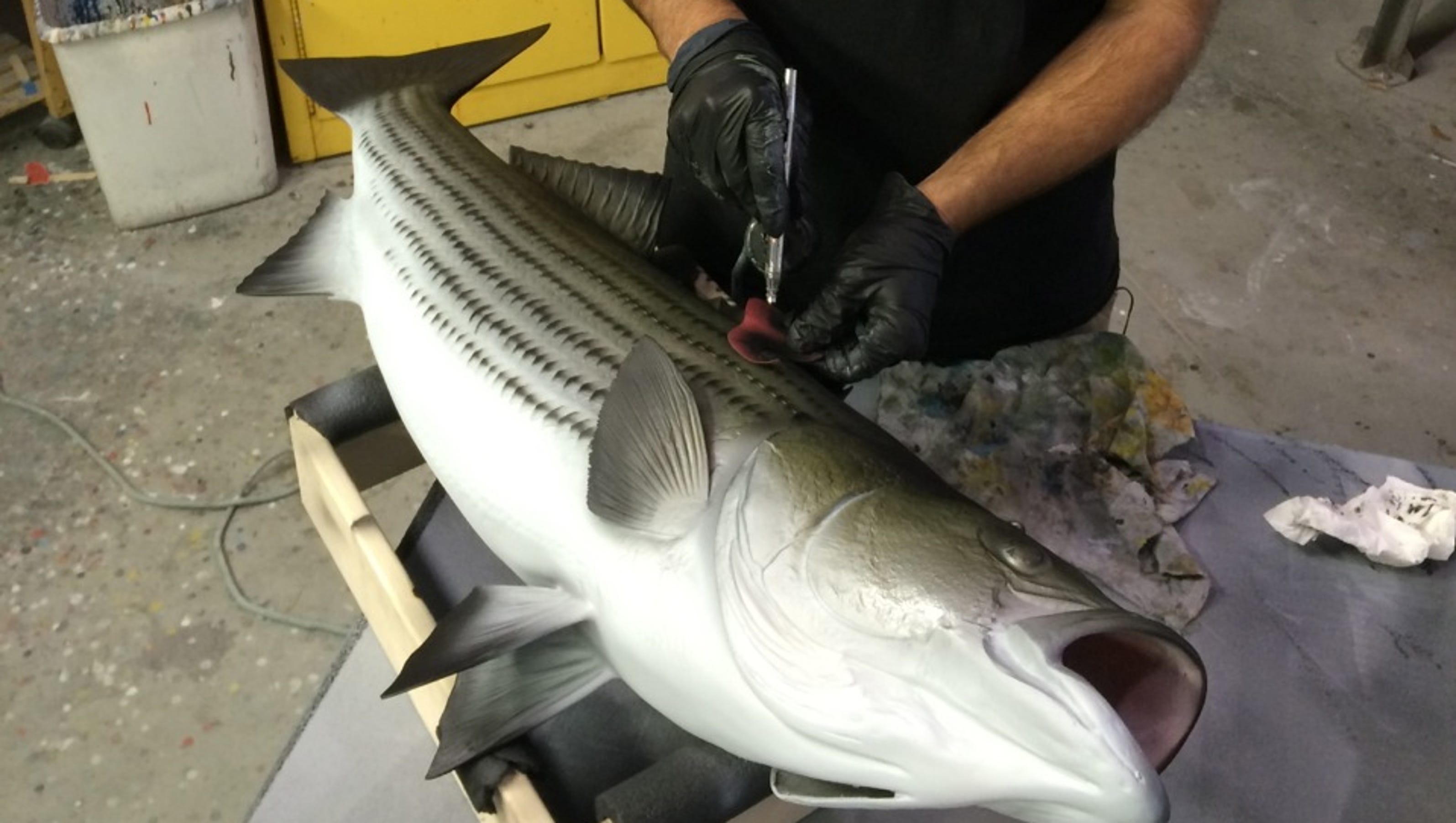 Business Spotlight: Passion for fishing reeled in entrepreneur - Florida Today