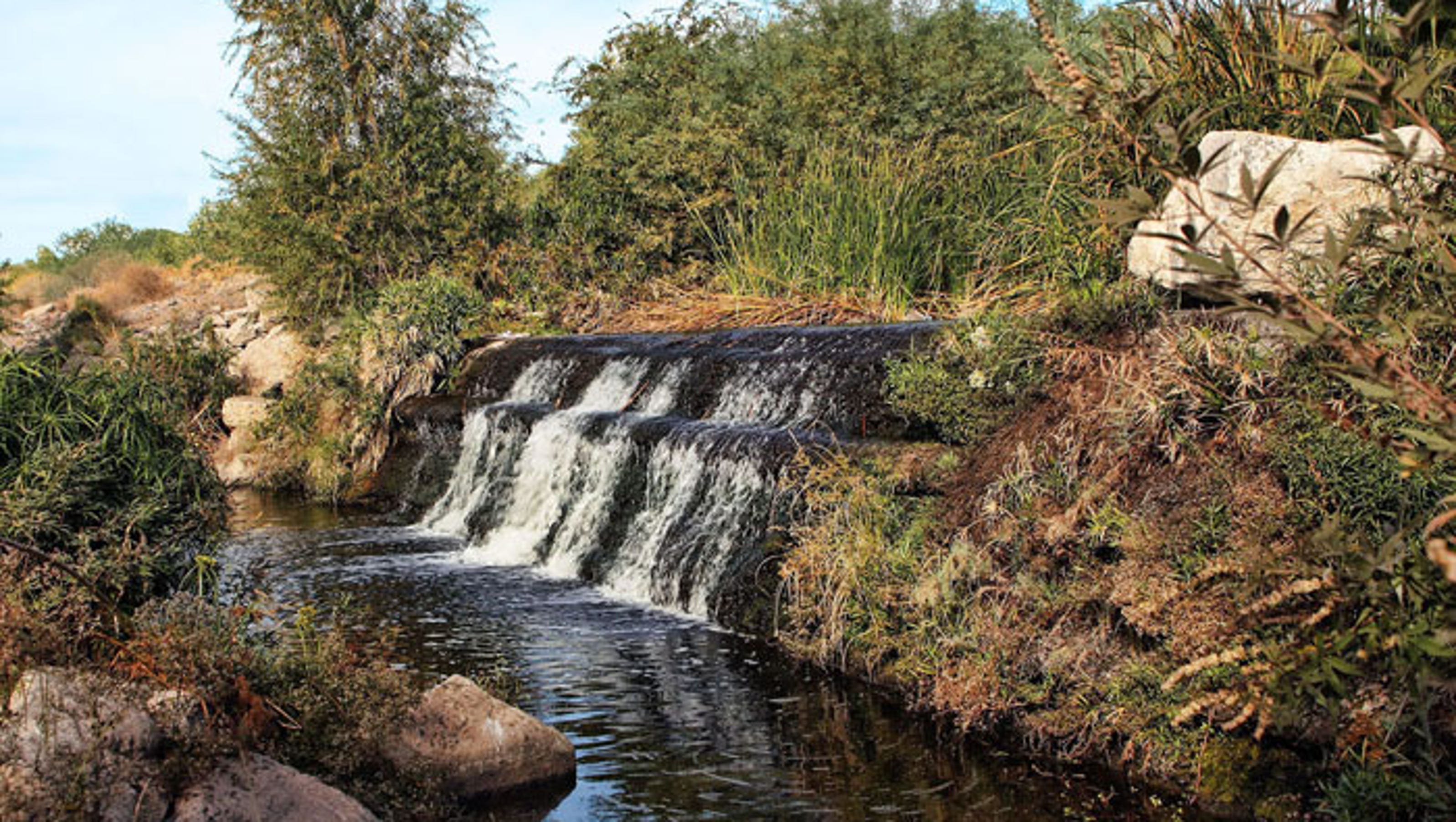 3 nature preserves near Phoenix