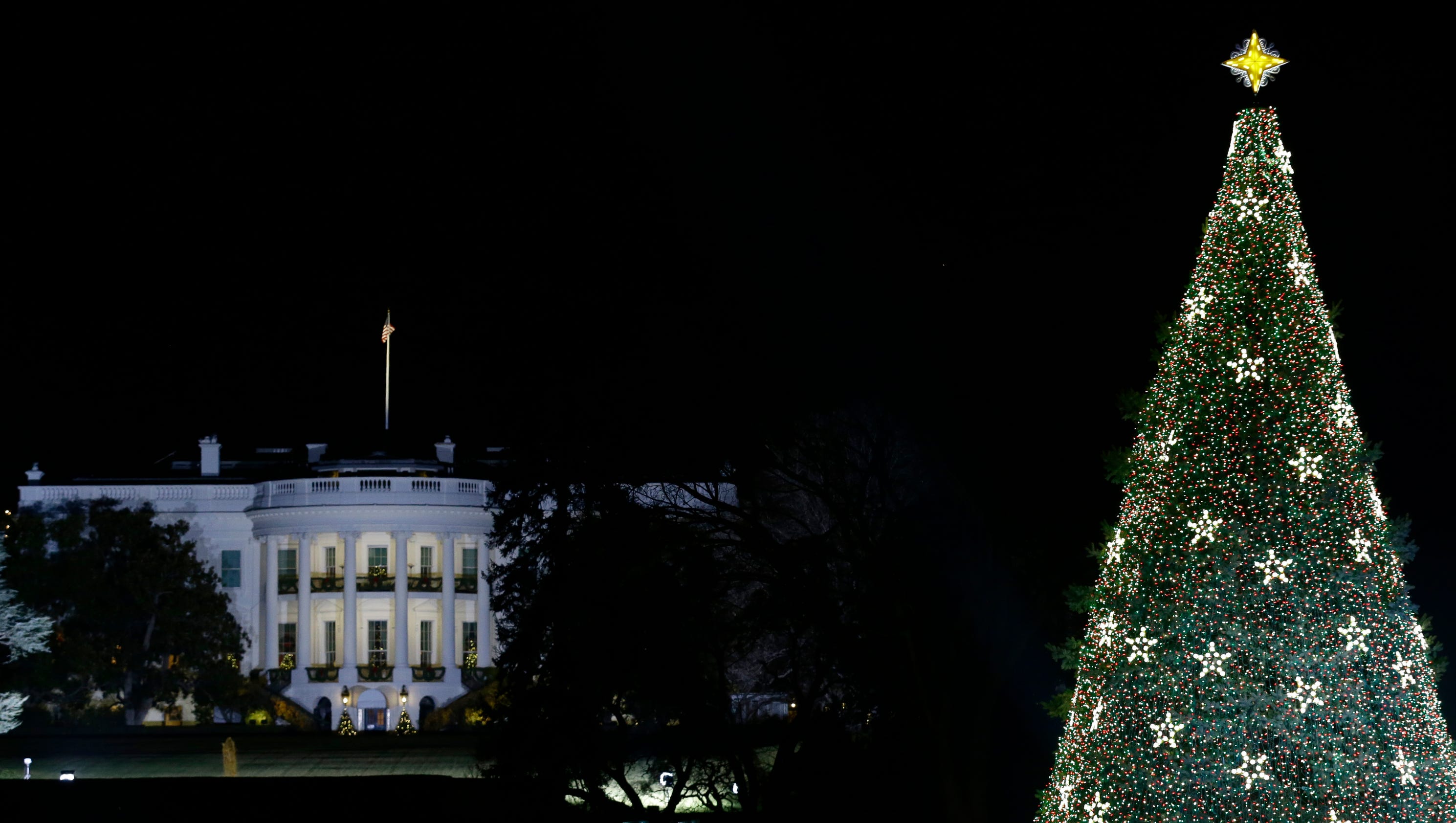 national christmas tree lighting lottery opens today national christmas tree lighting lottery opens today