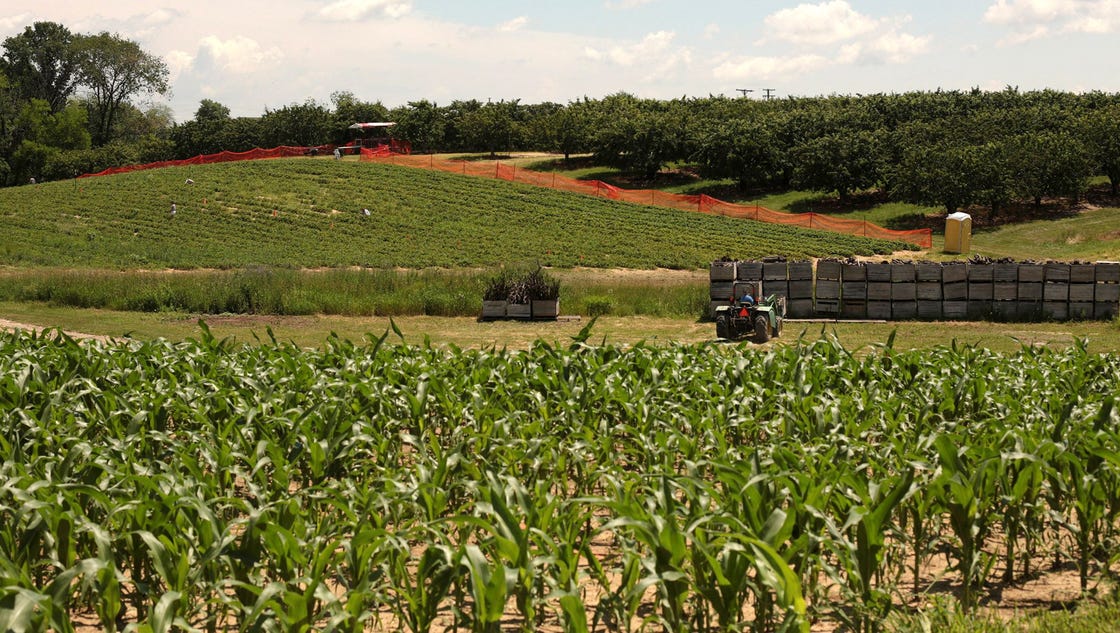 Michigan reaps specialty crop grants