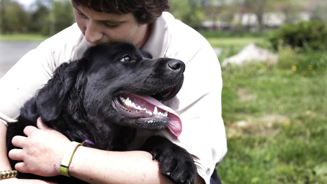 Crossbow Case Can An Owner Euthanize His Own Dog 