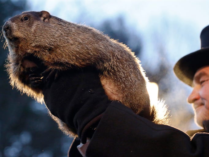 John Griffiths holds Punxsutawney Phil during the annual
