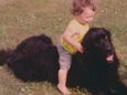 Dog Dies After Grooming At Petsmart