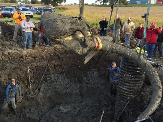 Researchers at the University of Michigan excavated