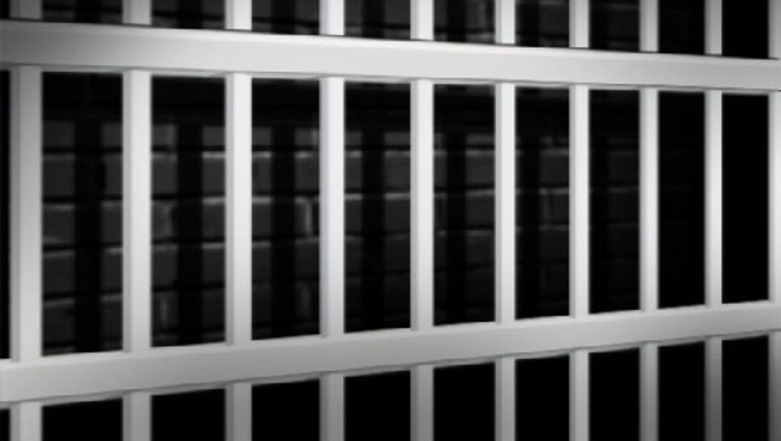 Man dies in Lansing police custody - Detroit Free Press