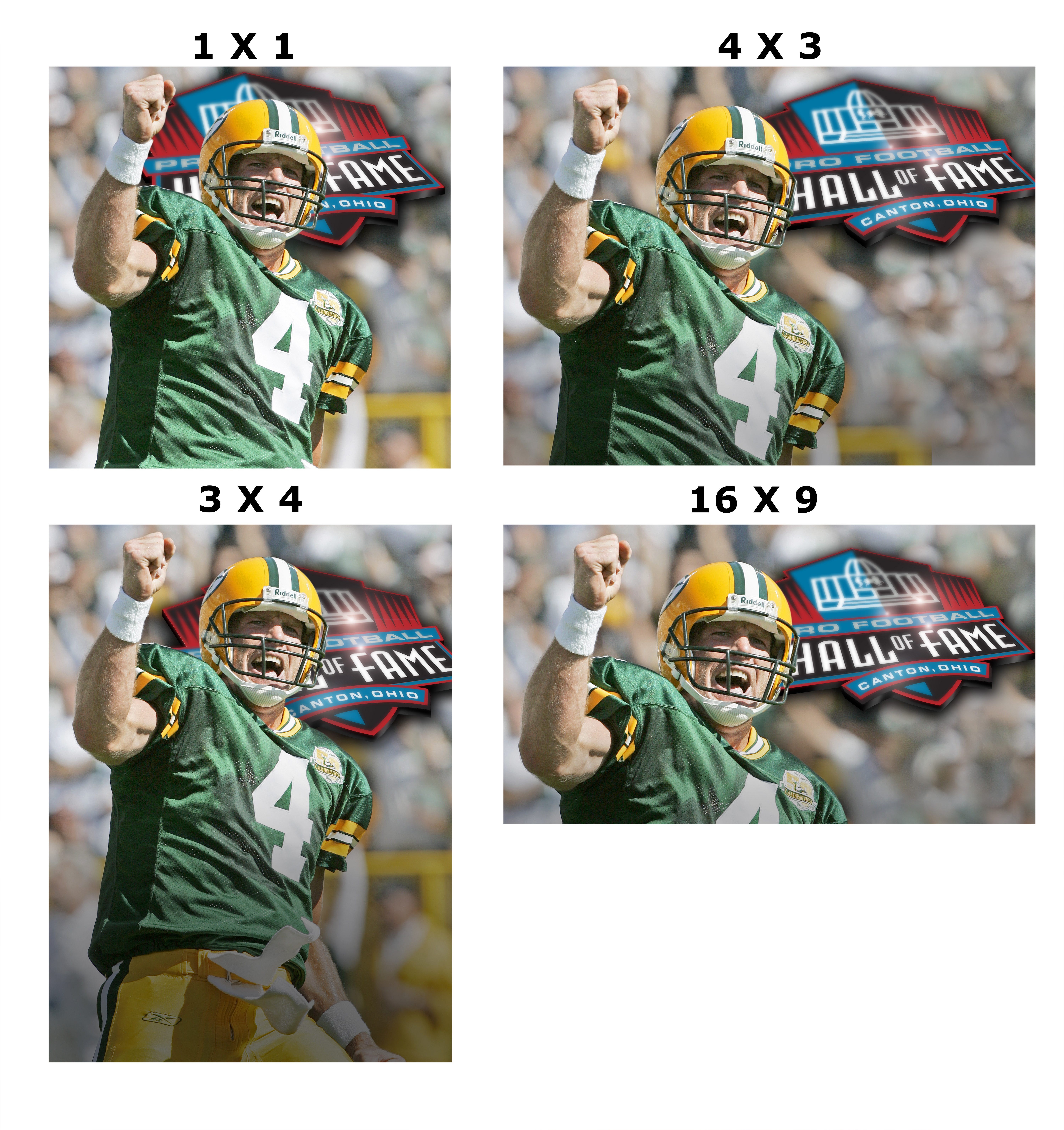 Brett favre hall of fame jersey hotsell